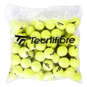 Tennisbälle Tecnifibre  XLD (72 Pack)