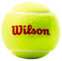 Tennisbälle Wilson