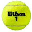 Tennisbälle Wilson  Roland Garros All Court (4 Pack)