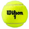 Tennisbälle Wilson  Roland Garros Clay (4 Pack)