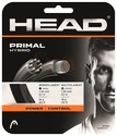 Tennissaite Head