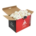 Tischtennisbälle Joola  Prime *** 40+ White (72 Pack)