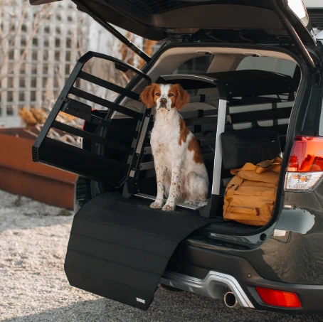 Thule Hundetransportboxen